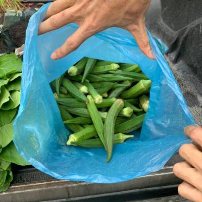 Persatuan Kebajikan Bunca Matahari-4